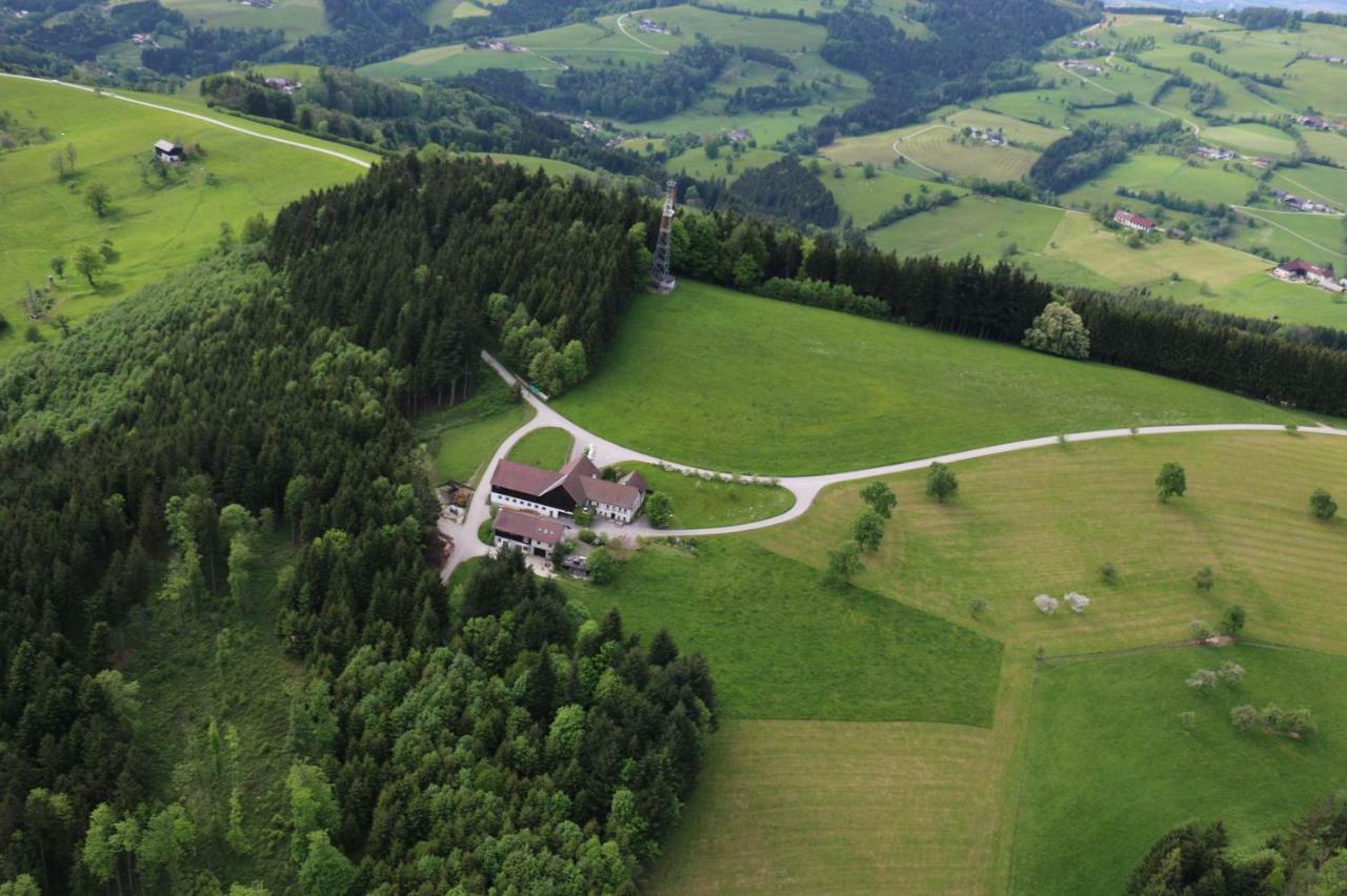 Апартаменты Miniponyhof Biohof Almbauer Вайдхофен-ан-дер-Ибс Экстерьер фото